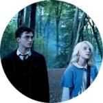 18112014 Harry Potter5